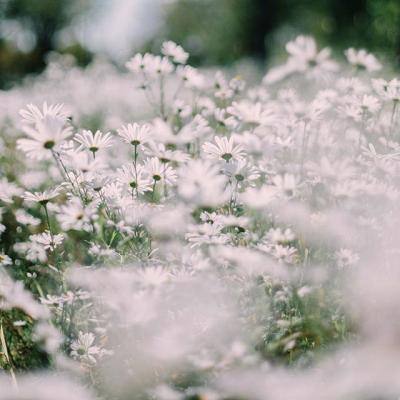 ayx在线登录入口下载手机版截图