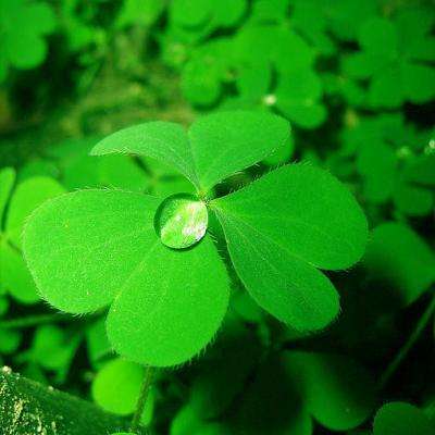 域网棋牌游戏下载手机版