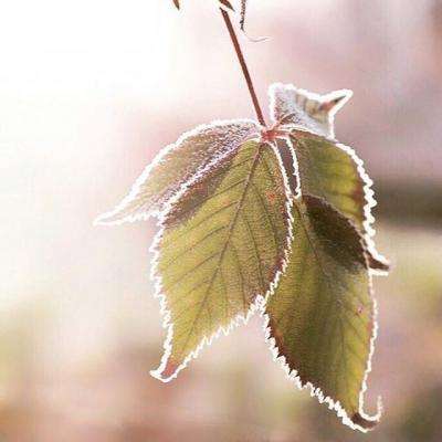 乐鱼官网手机app下载